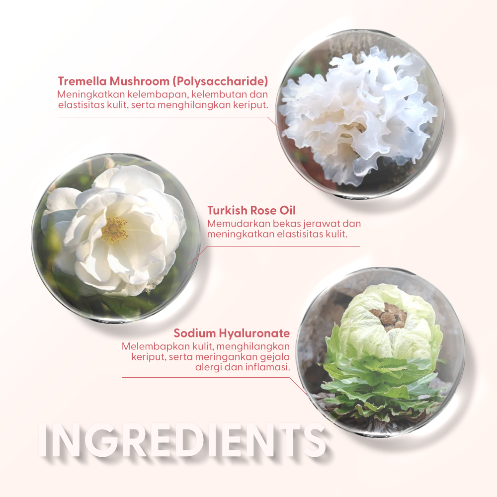 OSWEET Jade Rose Essence
